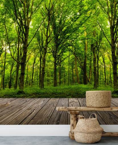 Carta da parati Green Forest by House