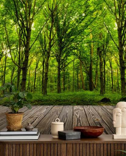 Fondo de pantalla de Green Forest by House