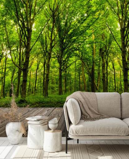 Fondo de pantalla de Green Forest by House Fondo de pantalla de Green Forest by House