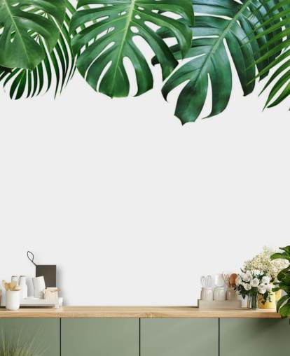 carta da parati verde monstera e foglie di palma