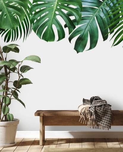 papier peint vert monstera et feuilles de palmier