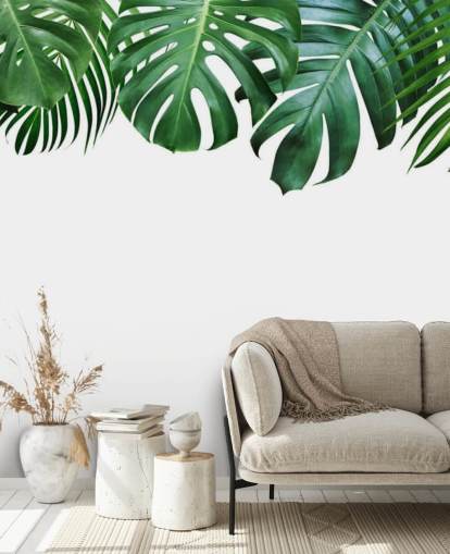 papel de parede verde monstera e folhas de palmeira papel de parede verde monstera e folhas de palmeira