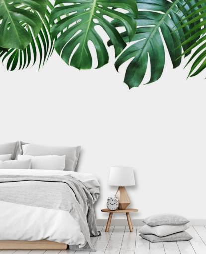 papier peint vert monstera et feuilles de palmier