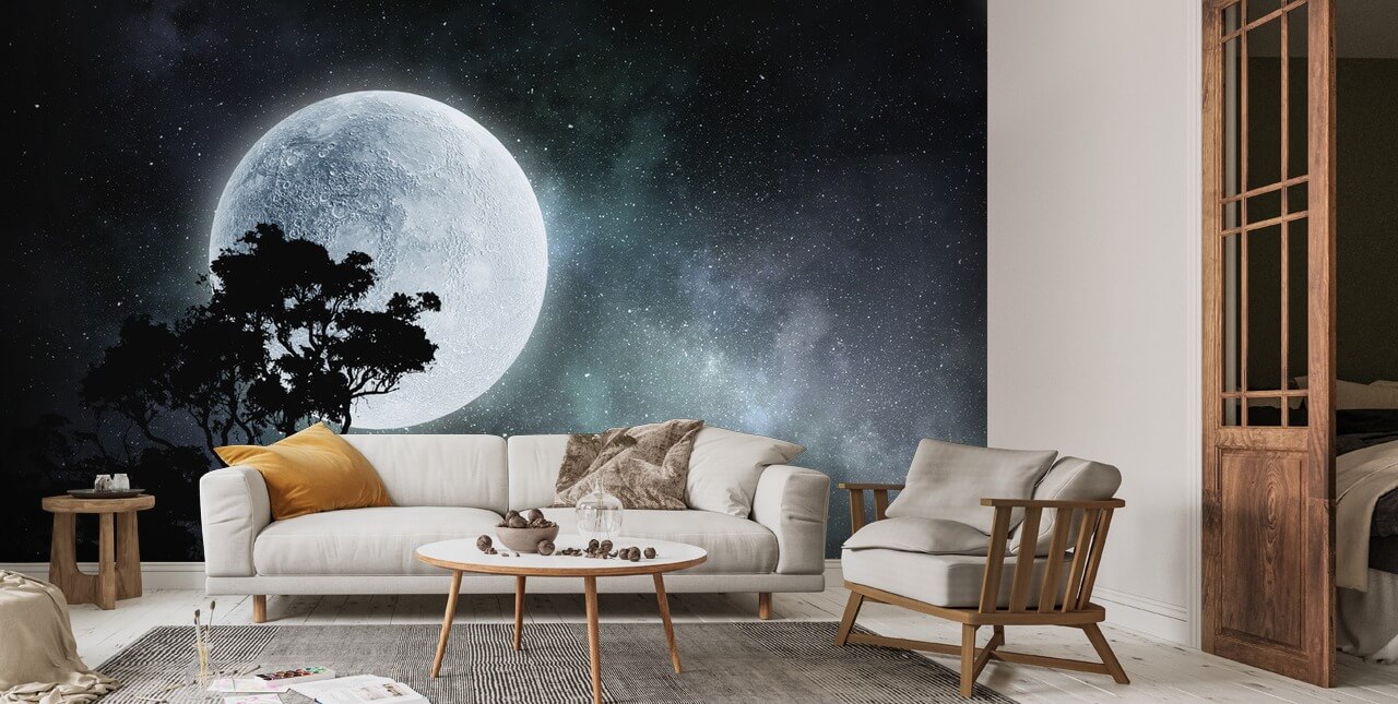 Sort og hvid måne vægmaleri | Wallsauce DK