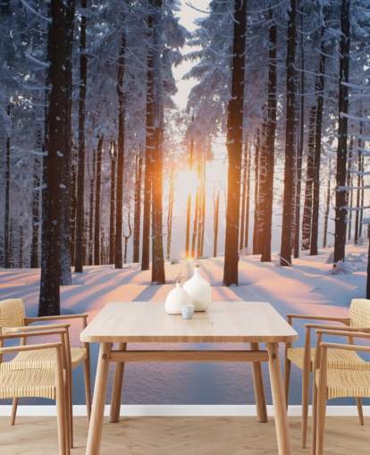 weiße und braune Waldtapete namens Sunset in the Woods für Wohnzimmer, Büros und Unternehmen