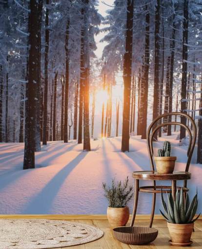 papier peint mural boisé blanc et brun appelé Sunset in the Woods pour les salons, les bureaux et les entreprises papier peint mural boisé blanc et brun appelé Sunset in the Woods pour les salons, les bureaux et les entreprises