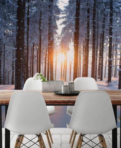 papier peint mural boisé blanc et brun appelé Sunset in the Woods pour les salons, les bureaux et les entreprises papier peint mural boisé blanc et brun appelé Sunset in the Woods pour les salons, les bureaux et les entreprises