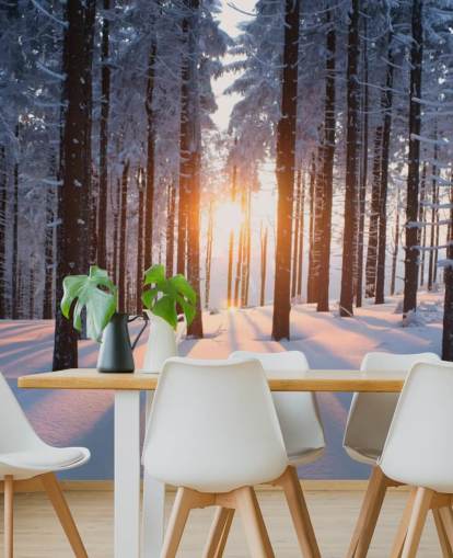 weiße und braune Waldtapete namens Sunset in the Woods für Wohnzimmer, Büros und Unternehmen weiße und braune Waldtapete namens Sunset in the Woods für Wohnzimmer, Büros und Unternehmen