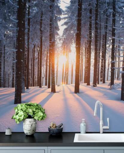 weiße und braune Waldtapete namens Sunset in the Woods für Wohnzimmer, Büros und Unternehmen