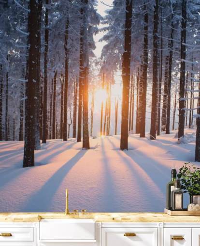 white and brown woodland wallpaper mural called Sunset in the Woods for living rooms, offices and businesses white and brown woodland wallpaper mural called Sunset in the Woods for living rooms, offices and businesses