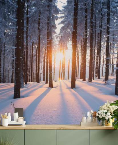 mural de papel de parede branco e marrom chamado Sunset in the Woods para salas de estar, escritórios e empresas