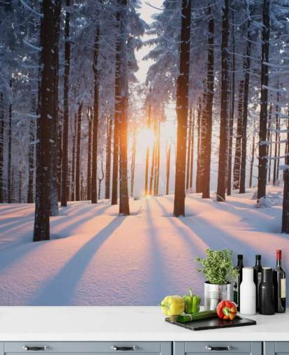 weiße und braune Waldtapete namens Sunset in the Woods für Wohnzimmer, Büros und Unternehmen