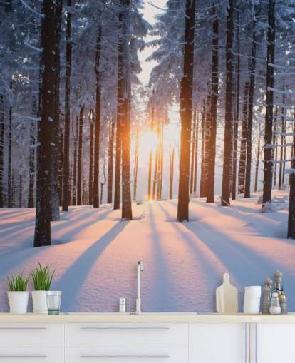 witte en bruine bosbehangmuurschildering genaamd Sunset in the Woods voor woonkamers, kantoren en bedrijven