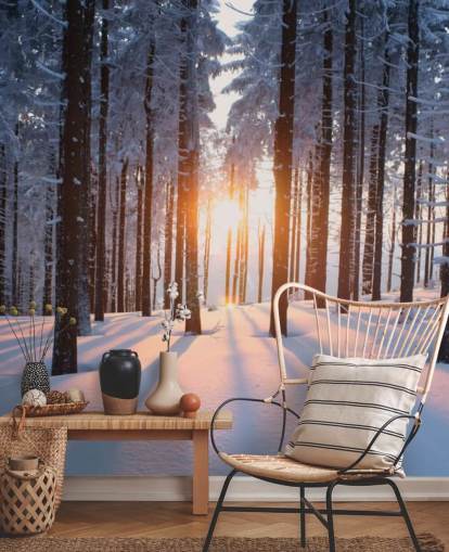 mural de papel pintado de un bosque blanco y marrón llamado Puesta de sol en el bosque para salas de estar, oficinas y negocios
