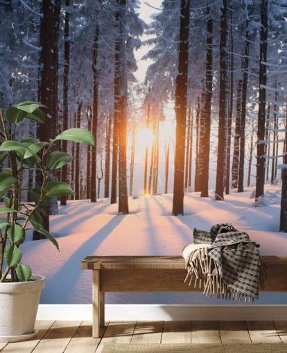 white and brown woodland wallpaper mural called Sunset in the Woods for living rooms, offices and businesses