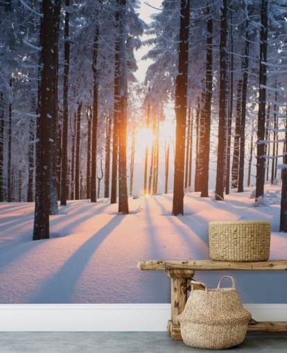 mural de papel pintado de un bosque blanco y marrón llamado Puesta de sol en el bosque para salas de estar, oficinas y negocios