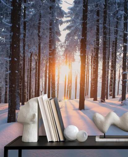 white and brown woodland wallpaper mural called Sunset in the Woods for living rooms, offices and businesses white and brown woodland wallpaper mural called Sunset in the Woods for living rooms, offices and businesses