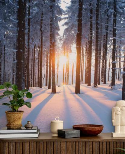 mural de papel pintado de un bosque blanco y marrón llamado Puesta de sol en el bosque para salas de estar, oficinas y negocios mural de papel pintado de un bosque blanco y marrón llamado Puesta de sol en el bosque para salas de estar, oficinas y negocios