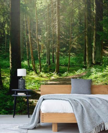 green forest wallpaper mural called Forest Wall Mural for home offices, bedrooms and businesses green forest wallpaper mural called Forest Wall Mural for home offices, bedrooms and businesses