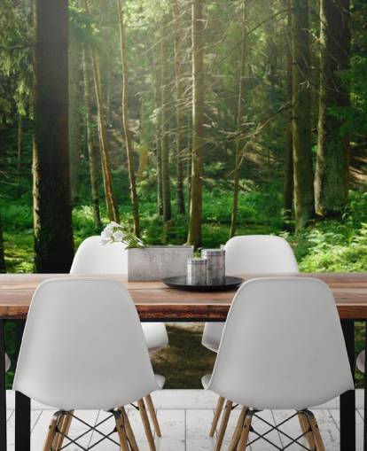 green forest wallpaper mural called Forest Wall Mural for home offices, bedrooms and businesses