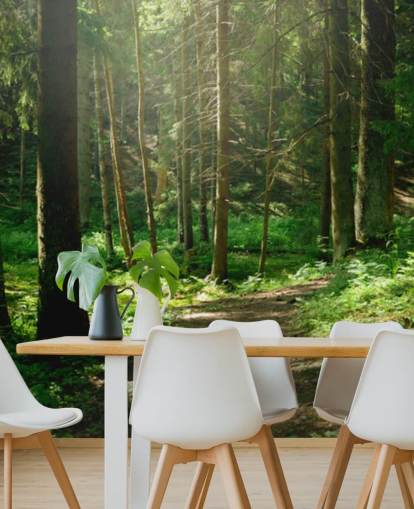 mural de papel de parede de floresta verde chamado Forest Wall Mural para escritórios domésticos, quartos e empresas