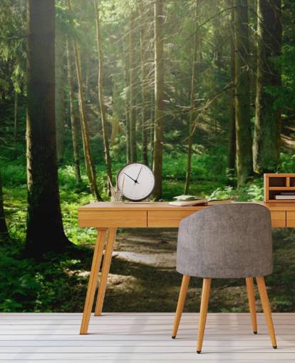 Carta da parati murale con foresta verde chiamata Forest Wall Mural per casa, uffici, camere da letto e aziende Carta da parati murale con foresta verde chiamata Forest Wall Mural per casa, uffici, camere da letto e aziende