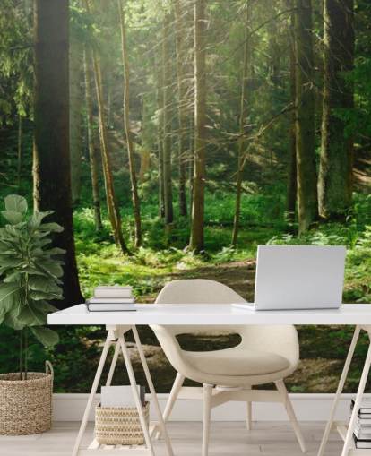 grøn skov tapet vægmaleri kaldet Forest Wall Mural til hjemmekontorer, soveværelser og virksomheder grøn skov tapet vægmaleri kaldet Forest Wall Mural til hjemmekontorer, soveværelser og virksomheder