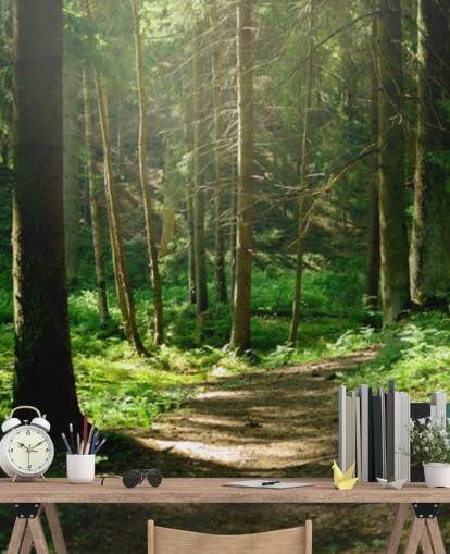 mural de papel pintado de bosque verde llamado Forest Wall Mural para oficinas domésticas, dormitorios y negocios