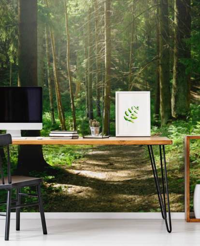 grünes Waldtapeten-Wandbild namens Wald-Wandbild für Heimbüros, Schlafzimmer und Unternehmen