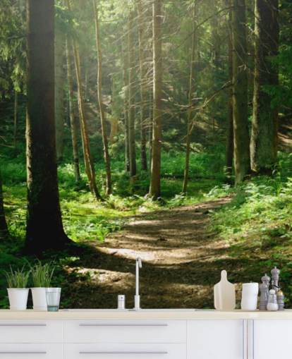 mural de papel pintado de bosque verde llamado Forest Wall Mural para oficinas domésticas, dormitorios y negocios