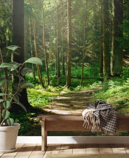 Carta da parati murale con foresta verde chiamata Forest Wall Mural per casa, uffici, camere da letto e aziende