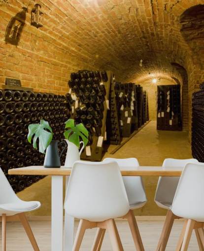 Dark Lit Up Wine Cellar Wall Mural