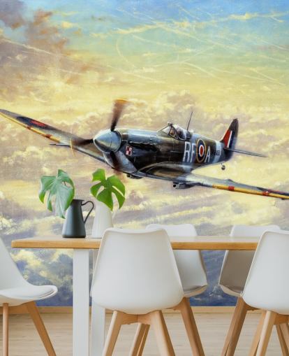 Flygande Spitfire Bakgrund av Kevin Walsh Flygande Spitfire Bakgrund av Kevin Walsh