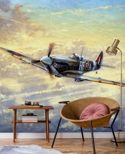 Flygande Spitfire Bakgrund av Kevin Walsh Flygande Spitfire Bakgrund av Kevin Walsh