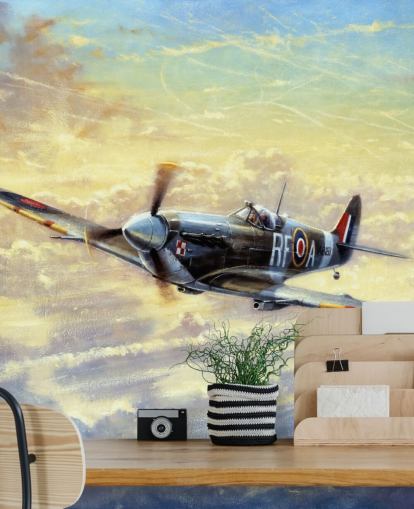 Flying Spitfire Bakgrunn av Kevin Walsh Flying Spitfire Bakgrunn av Kevin Walsh