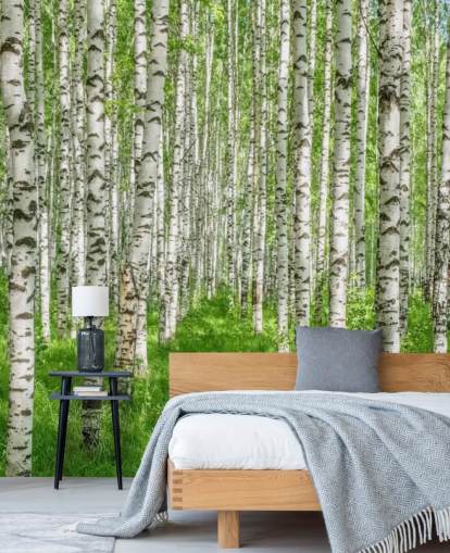 Weiße personalisierbare Birkentapete mit dem Titel White Birch Trees für Schlafzimmer