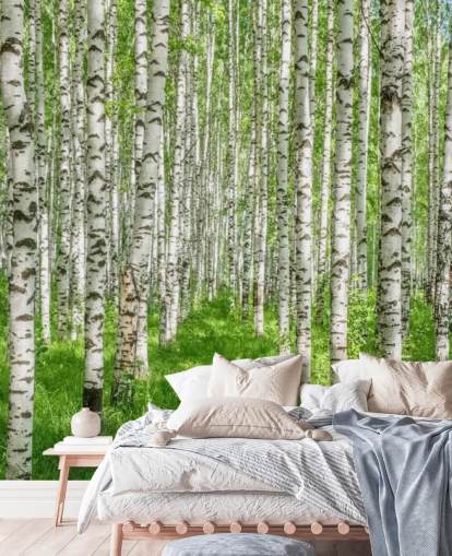 mural de papel pintado de abedul blanco personalizable llamado White Birch Trees para dormitorios