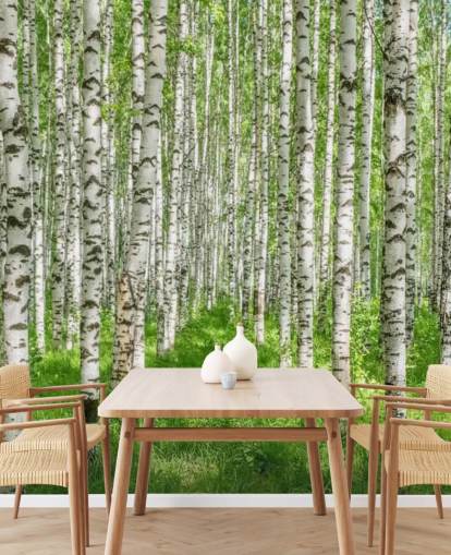 mural de papel de parede de bétula branca personalizável chamado White Birch Trees para quartos