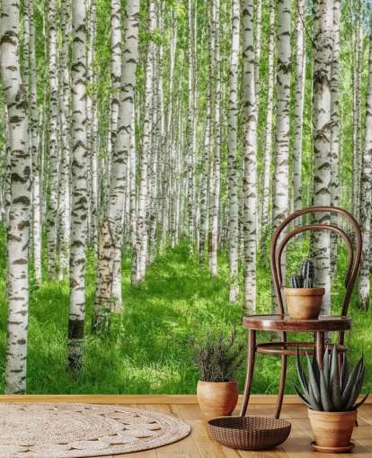 vit anpassningsbar björkträd tapetväggmålning kallad White Birch Trees för sovrum