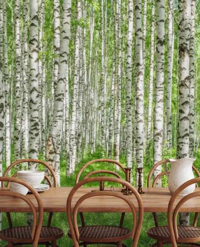 mural de papel de parede de bétula branca personalizável chamado White Birch Trees para quartos