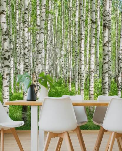 white customizable birch tree wallpaper mural called White Birch Trees for bedrooms white customizable birch tree wallpaper mural called White Birch Trees for bedrooms