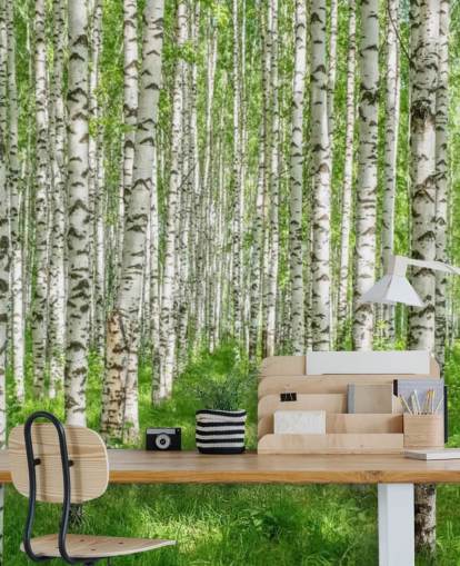 mural de papel pintado de abedul blanco personalizable llamado White Birch Trees para dormitorios