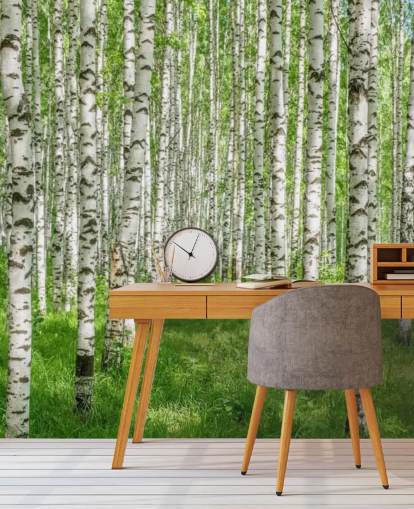papier peint mural de bouleau blanc personnalisable appelé White Birch Trees pour chambres