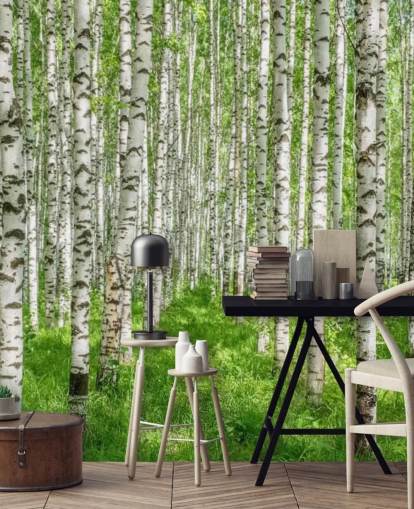 Weiße personalisierbare Birkentapete mit dem Titel White Birch Trees für Schlafzimmer Weiße personalisierbare Birkentapete mit dem Titel White Birch Trees für Schlafzimmer