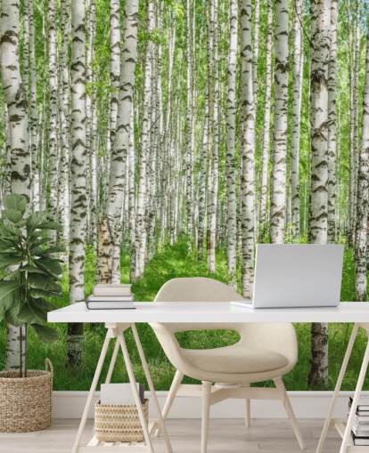 vit anpassningsbar björkträd tapetväggmålning kallad White Birch Trees för sovrum vit anpassningsbar björkträd tapetväggmålning kallad White Birch Trees för sovrum