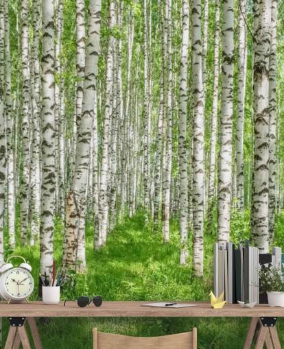 mural de papel pintado de abedul blanco personalizable llamado White Birch Trees para dormitorios