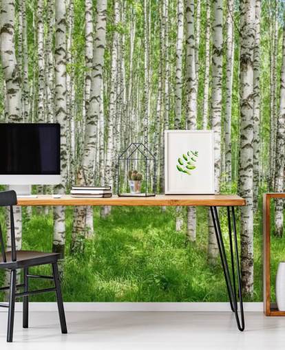 mural de papel pintado de abedul blanco personalizable llamado White Birch Trees para dormitorios