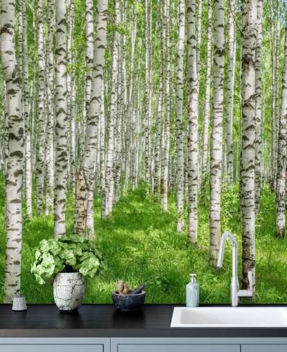 white customizable birch tree wallpaper mural called White Birch Trees for bedrooms