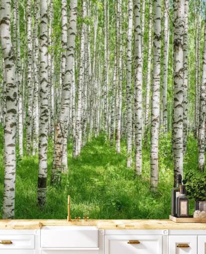 white customizable birch tree wallpaper mural called White Birch Trees for bedrooms