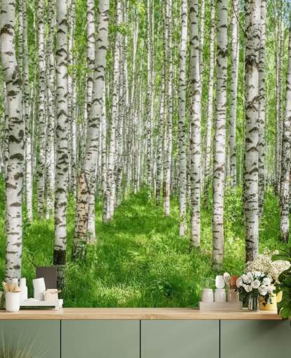 white customizable birch tree wallpaper mural called White Birch Trees for bedrooms